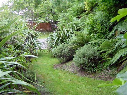 Turangi Trout Lodge Eksteriør bilde